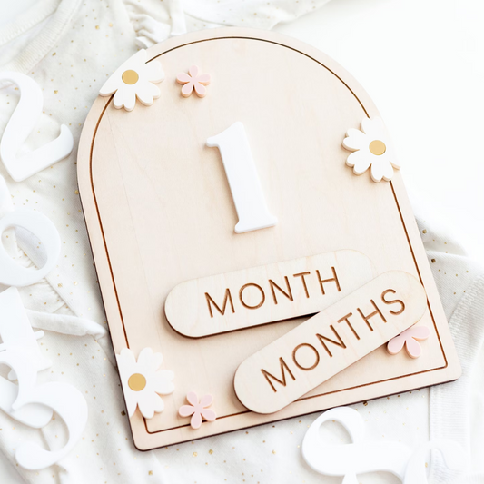 Baby Milestone Plaque with Daisy Accents – Newborn Photo Prop &amp; Keepsak